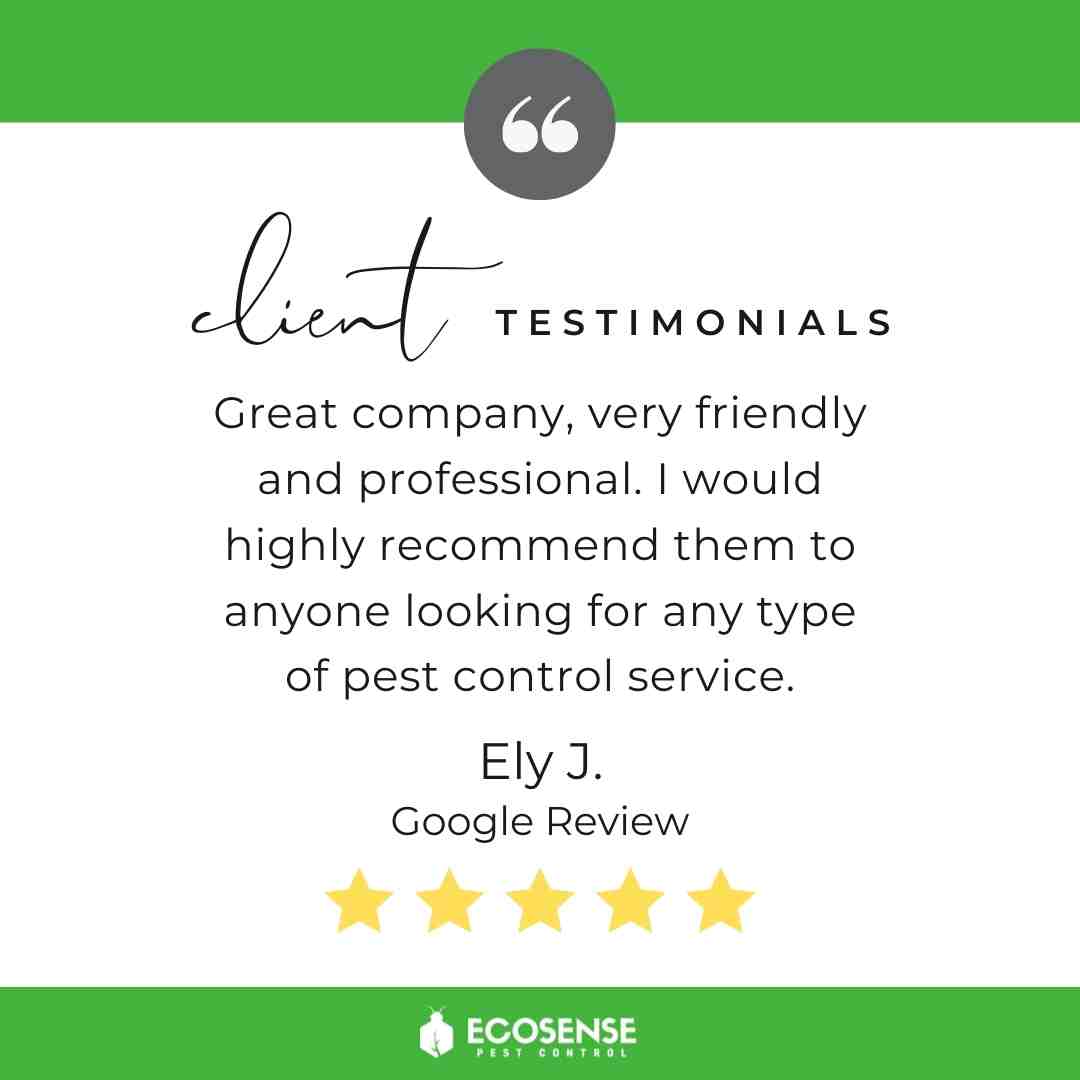 Pest Control Boise EcoSense Pest Control